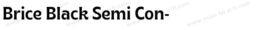 Brice Black Semi Con字体转换